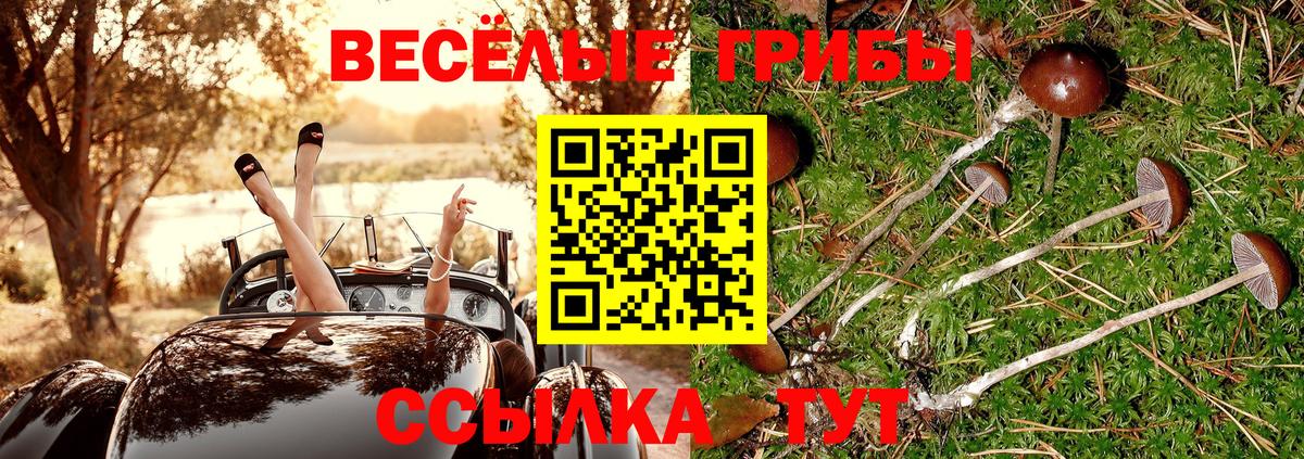 Псилоцибиновые грибы Magic Shrooms  Вход с VPN  Благодарный 